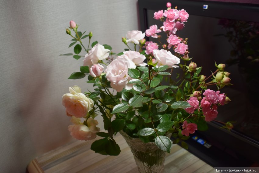 Живые куклы от Лары