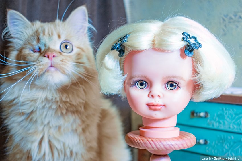 Как куколка спасла котика