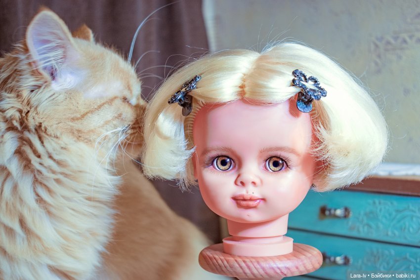 Как куколка спасла котика (фото 2)