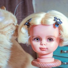 Как куколка спасла котика