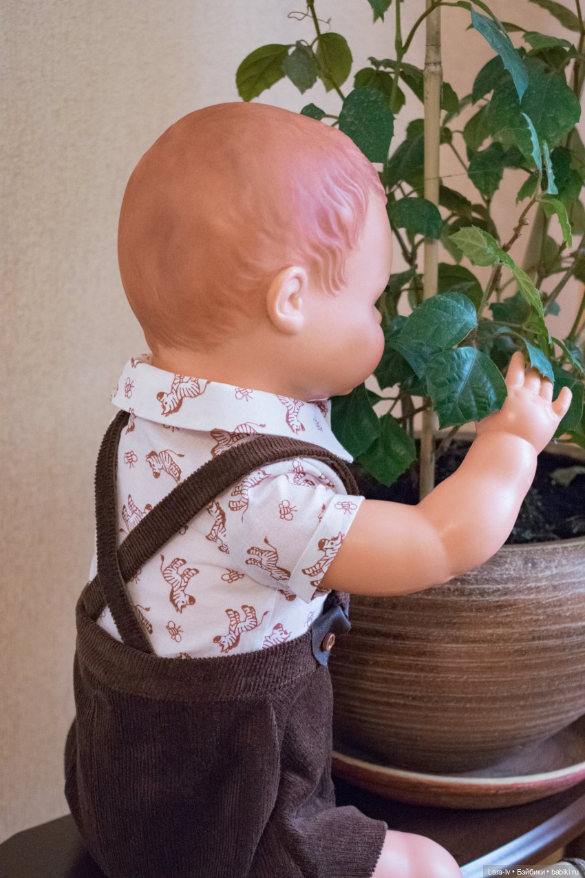 Мой любимчик, перезагрузка