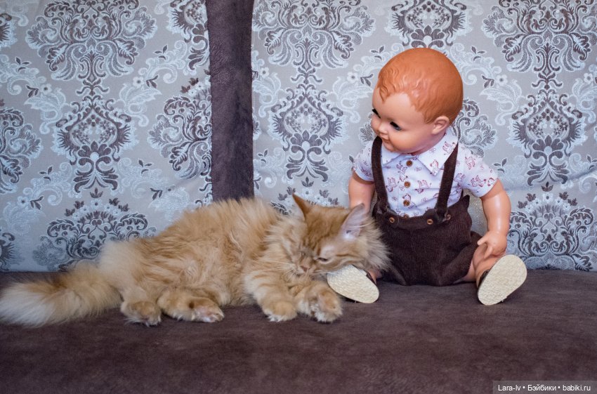 Мой любимчик, перезагрузка