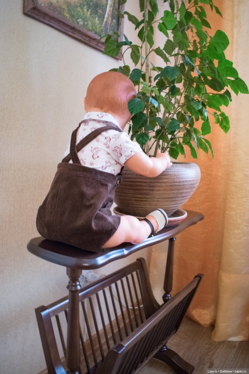 Мой любимчик, перезагрузка