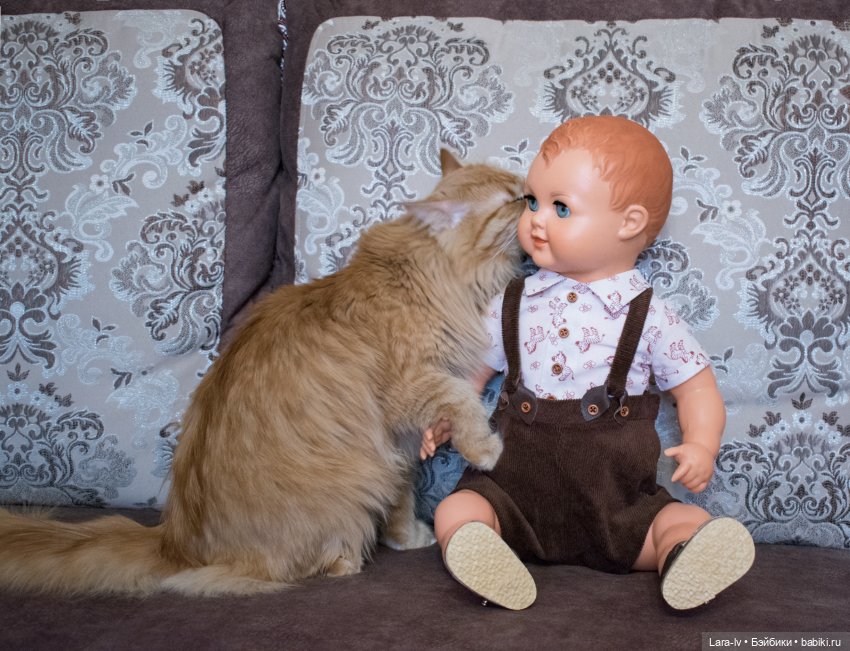 Мой любимчик, перезагрузка