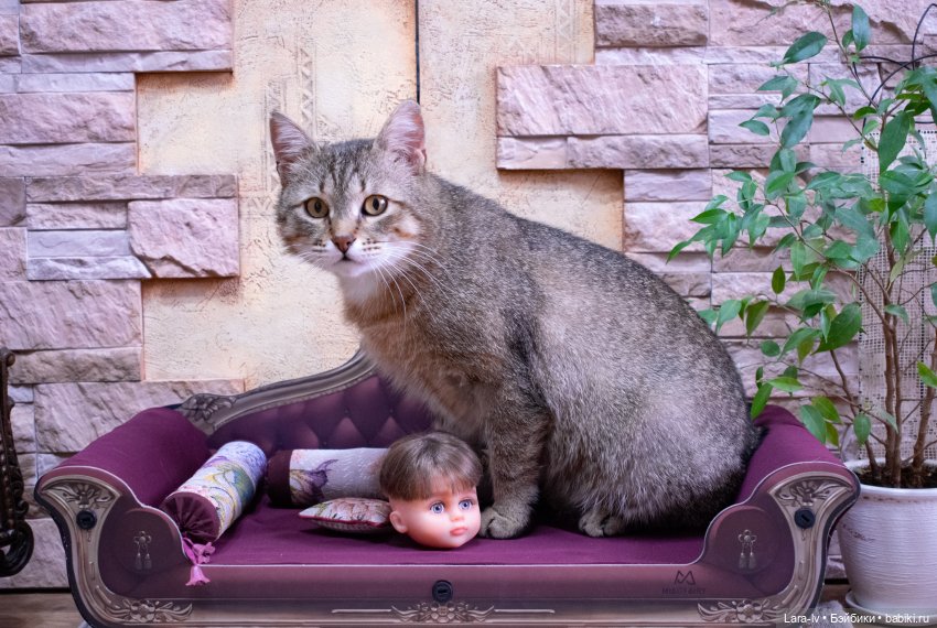 Два чемодана кукол. Серия 2