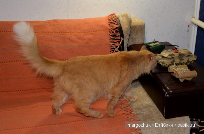 Возвращение Синеглазки | Бэйбики Возвращение Синеглазки — Винтажные куклы ГДР (Немки): Бигги