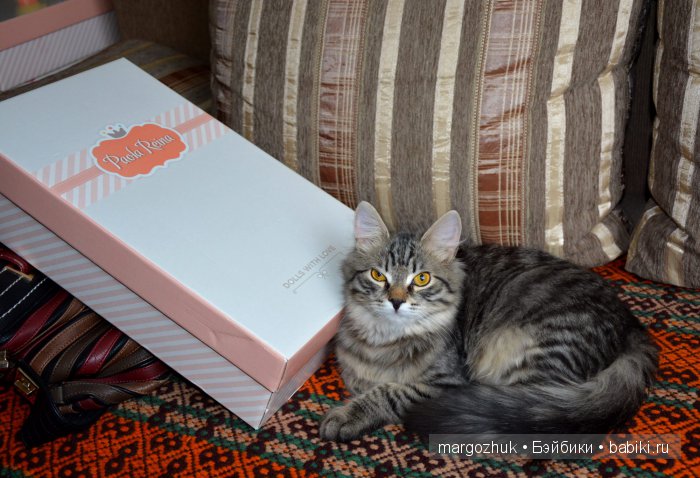 Наш Мишка, кажется, влюбился