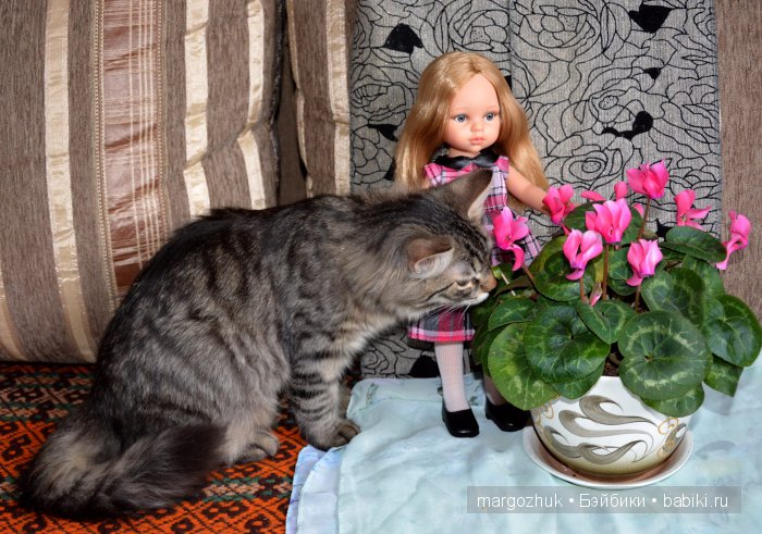 Наш Мишка, кажется, влюбился