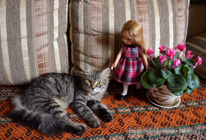 Наш Мишка, кажется, влюбился