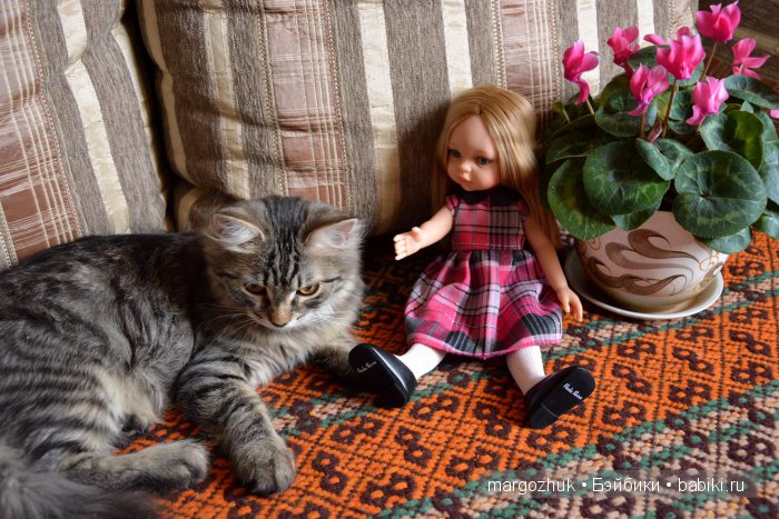 Наш Мишка, кажется, влюбился