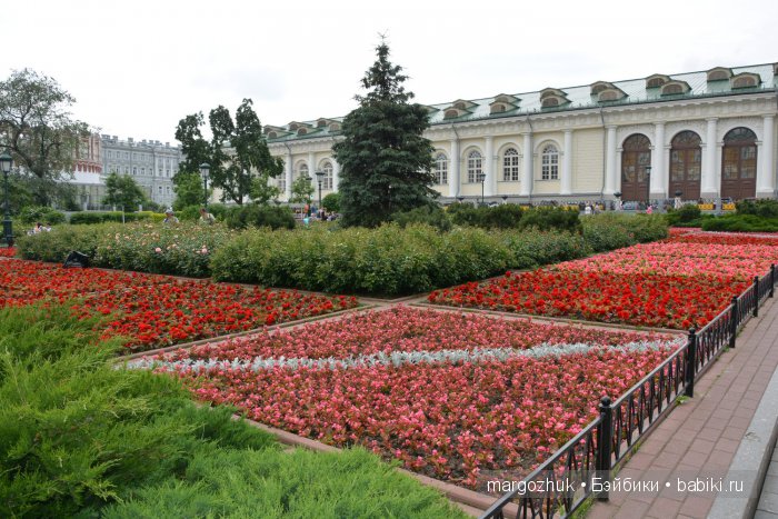 Цветочное море Москвы — Туризм и путешествия: фотоотчеты из поездок (фото 4)