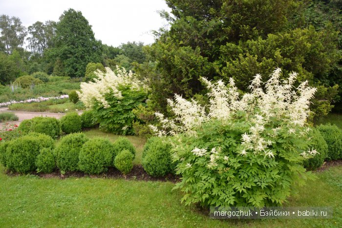 Цветочное море Москвы — Туризм и путешествия: фотоотчеты из поездок