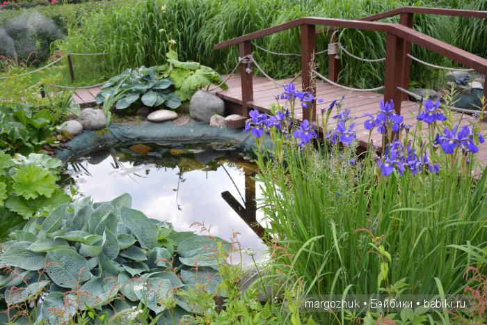 Цветочное море Москвы — Туризм и путешествия: фотоотчеты из поездок