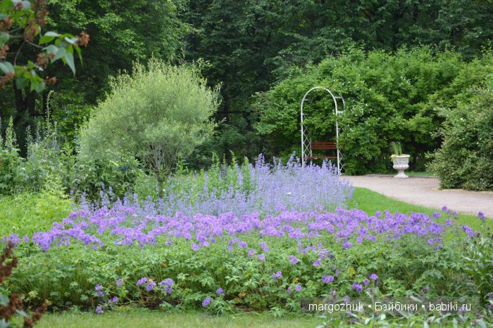 Цветочное море Москвы — Туризм и путешествия: фотоотчеты из поездок