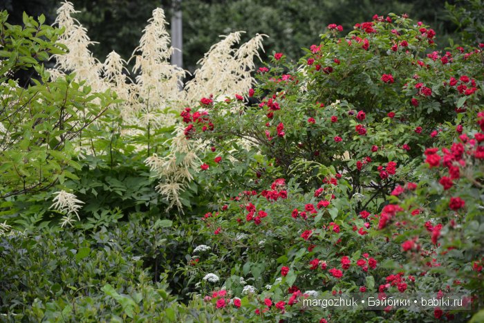 Цветочное море Москвы — Туризм и путешествия: фотоотчеты из поездок