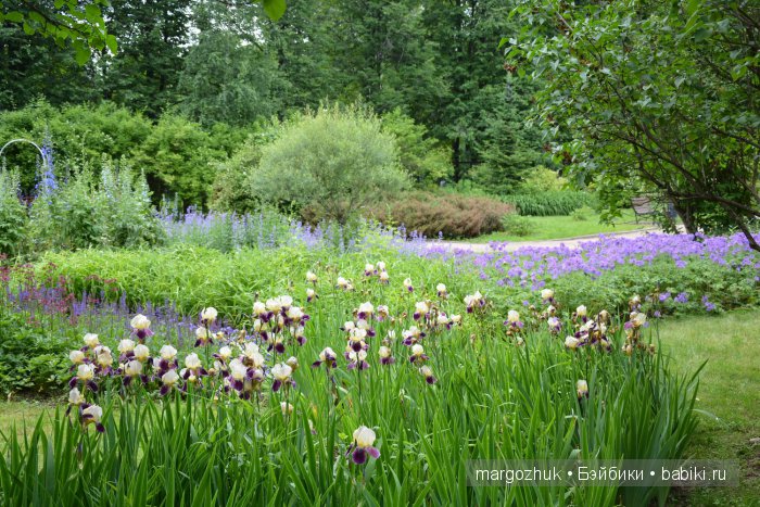 Цветочное море Москвы — Туризм и путешествия: фотоотчеты из поездок