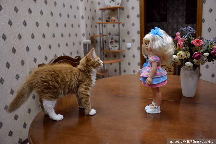 Новости из заветного шкафчика