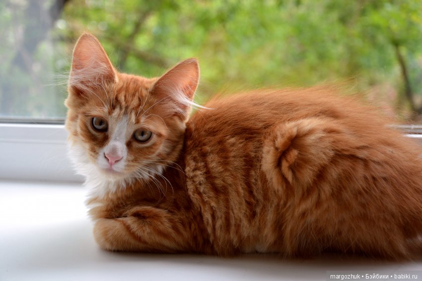 Новости из заветного шкафчика