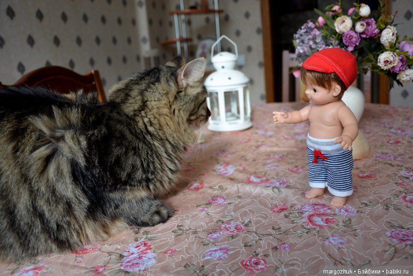 Новости из заветного шкафчика