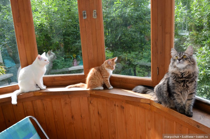 Новости из заветного шкафчика (фото 9)