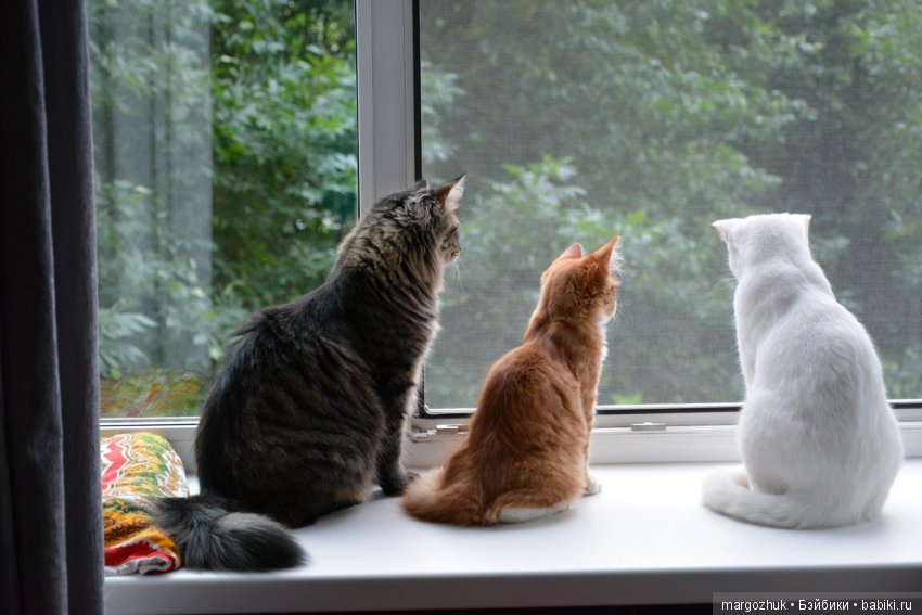 Новости из заветного шкафчика