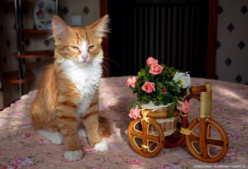 Новости из заветного шкафчика