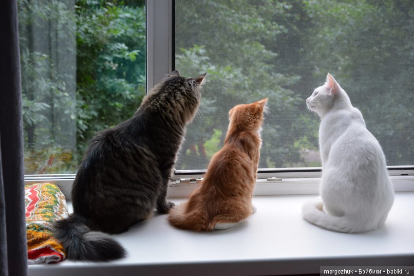 Новости из заветного шкафчика