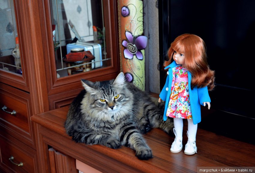 Новости из заветного шкафчика