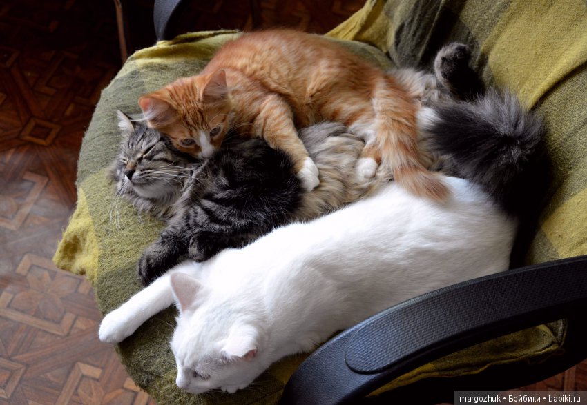 Новости из заветного шкафчика