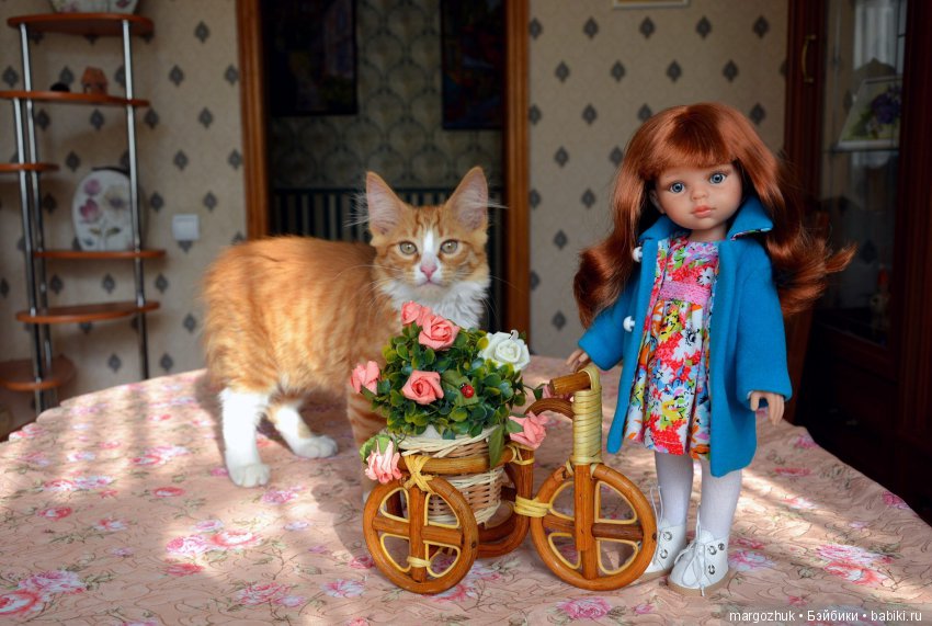 Новости из заветного шкафчика