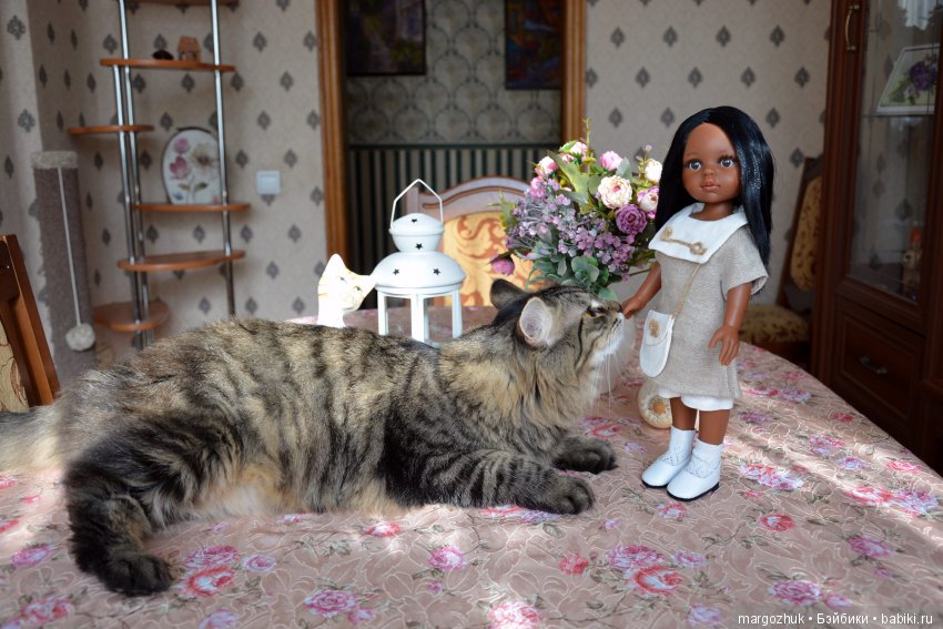 Новости из заветного шкафчика