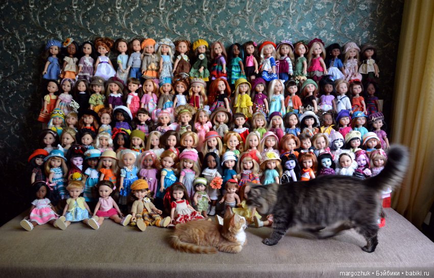 Новости из заветного шкафчика