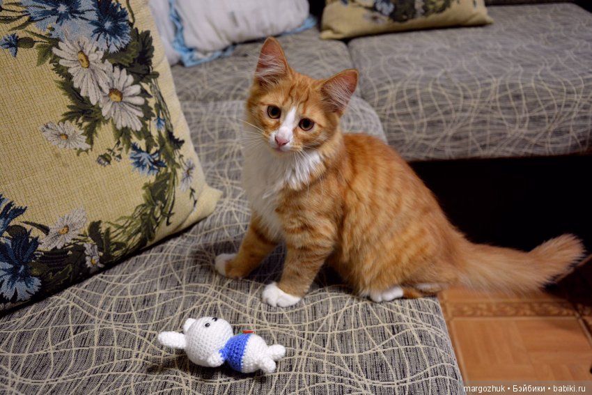 Новости из заветного шкафчика