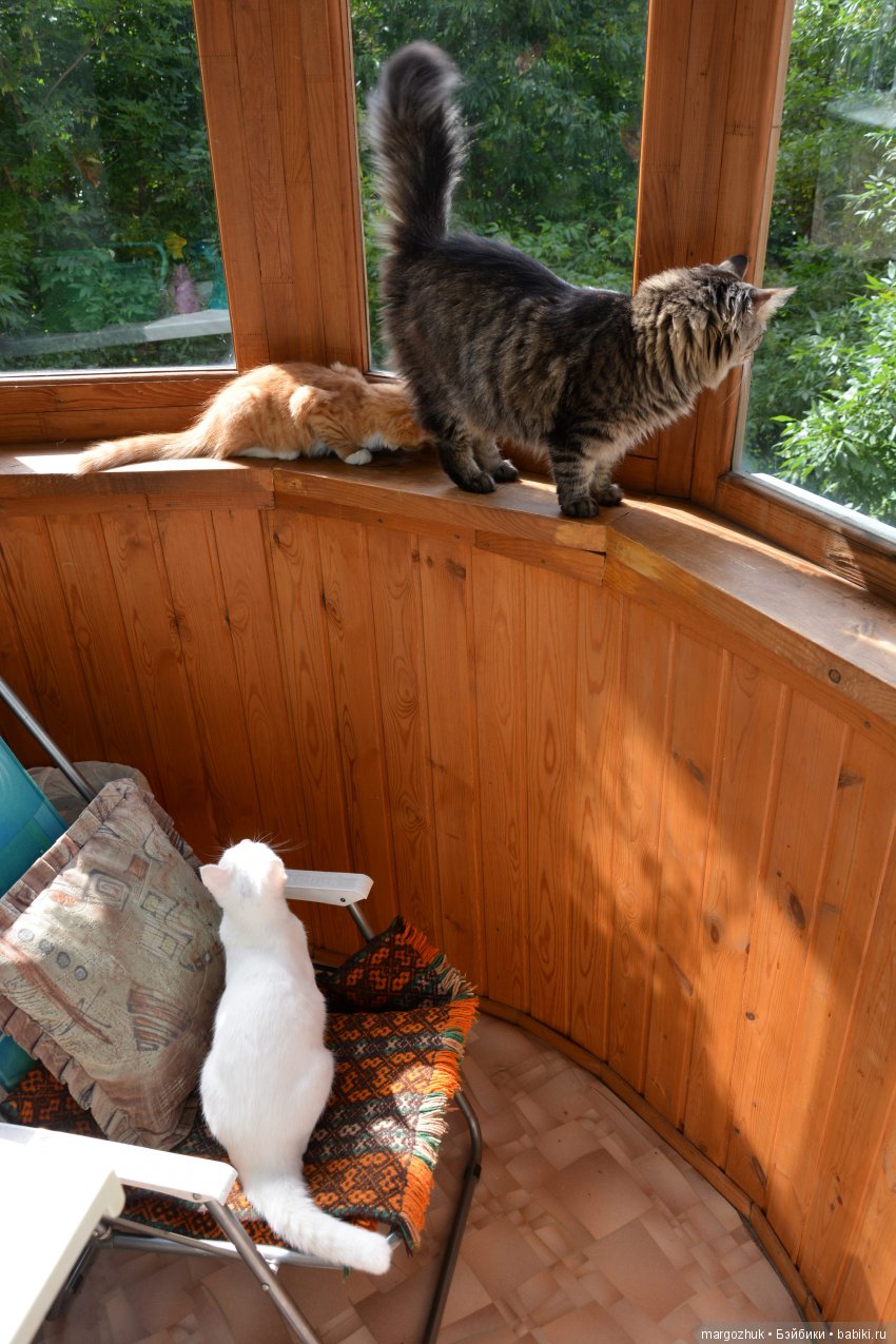 Новости из заветного шкафчика