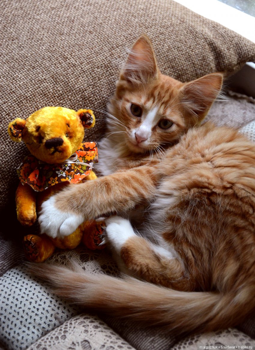 Новости из заветного шкафчика