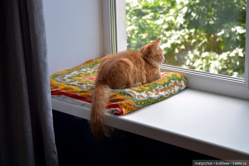 Новости из заветного шкафчика