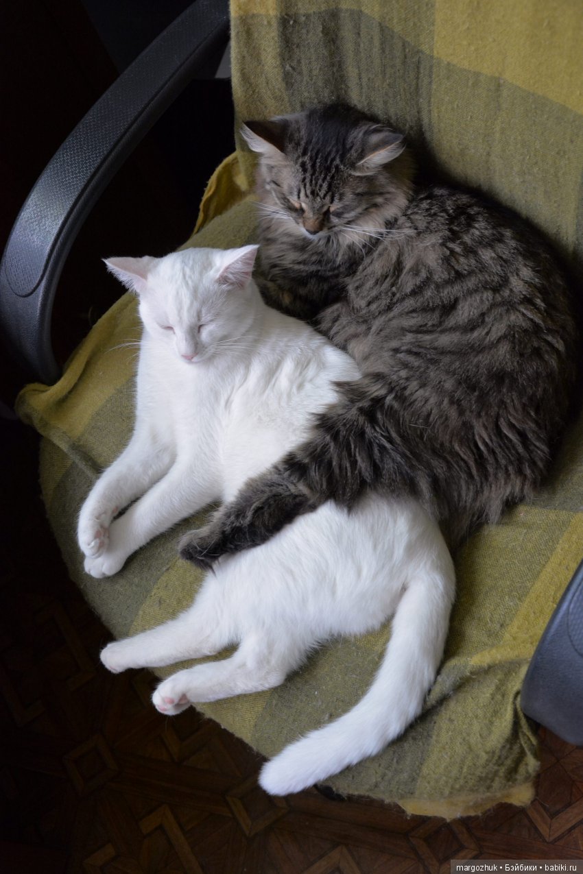 Новости из заветного шкафчика