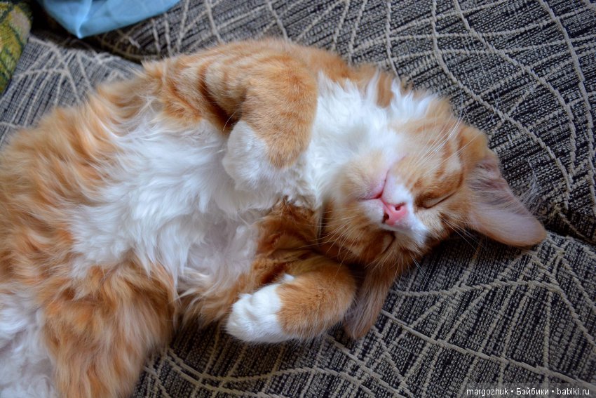 Новости из заветного шкафчика