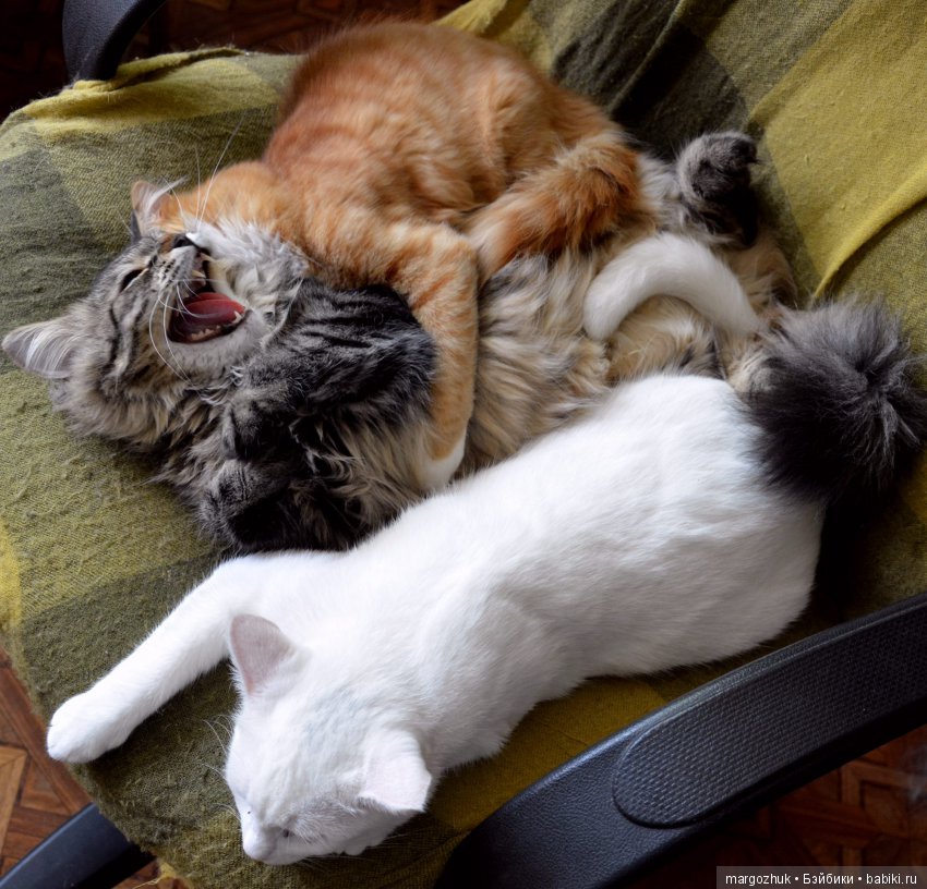 Новости из заветного шкафчика