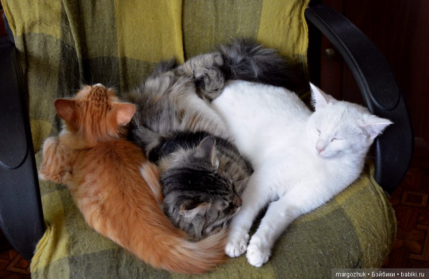 Новости из заветного шкафчика