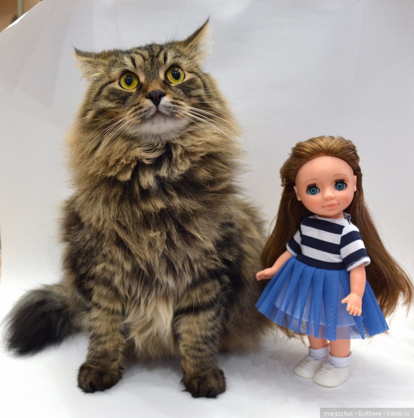 Вместе с Асями в дом пришла Весна (фото 6)