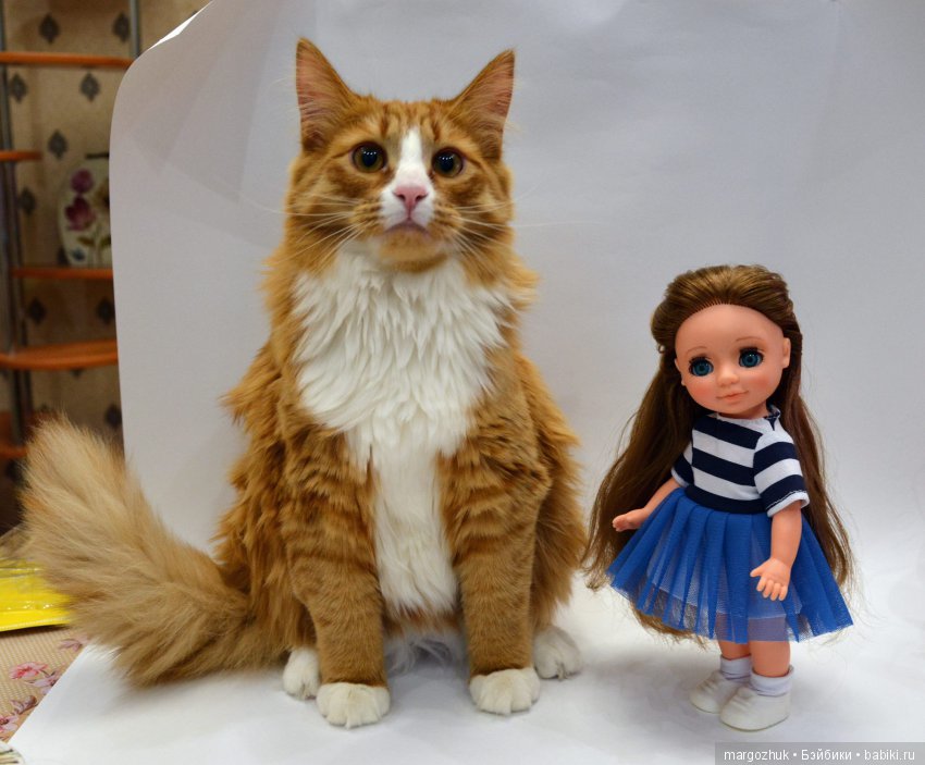 Вместе с Асями в дом пришла Весна (фото 7)