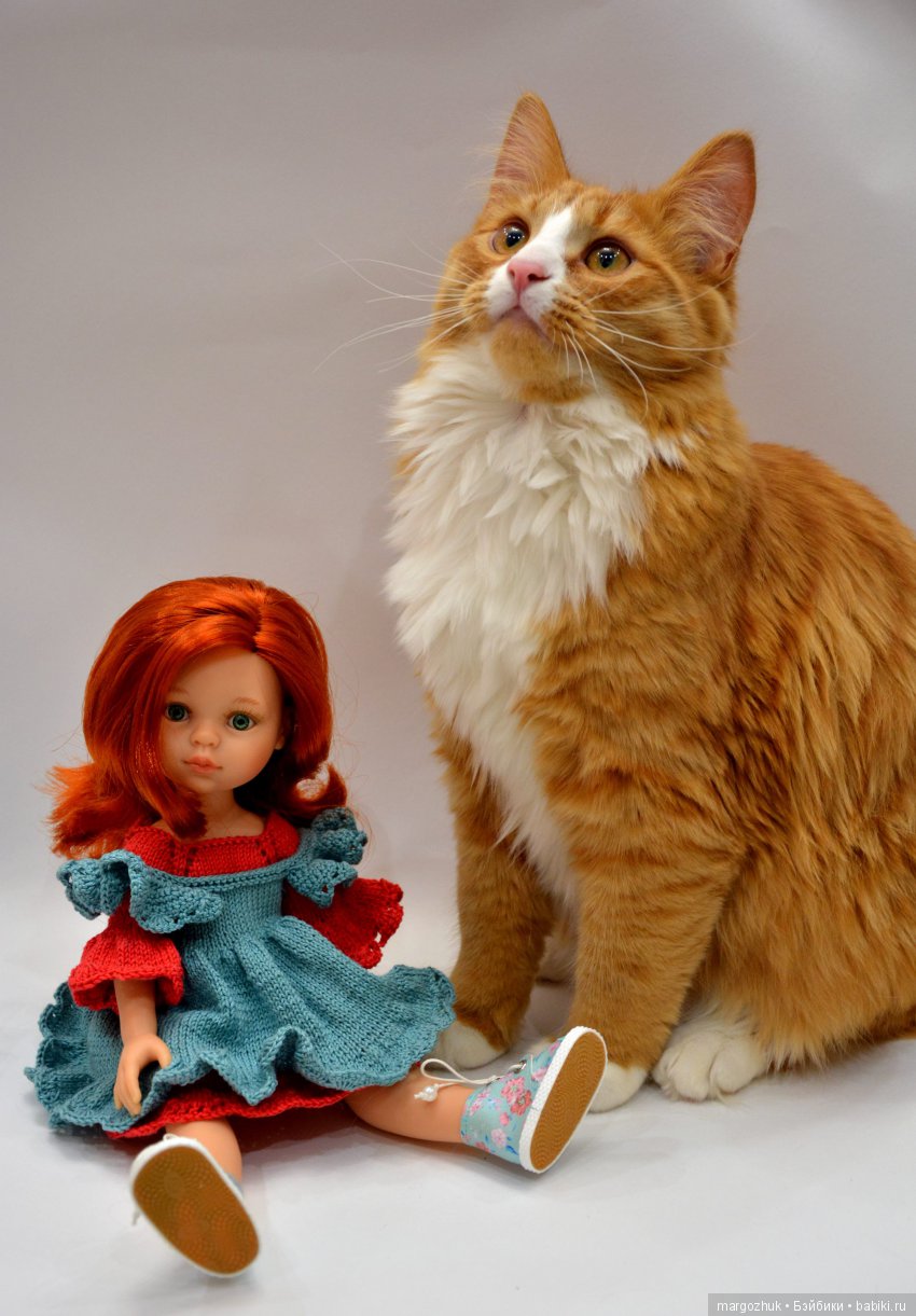 Новогодние каникулы в заветном шкафчике (фото 4)