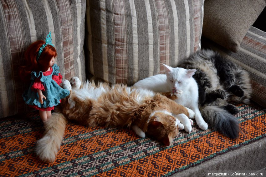 Новогодние каникулы в заветном шкафчике