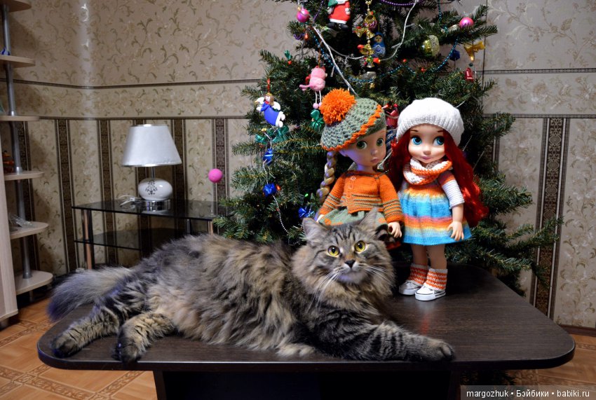 Новогодние каникулы в заветном шкафчике