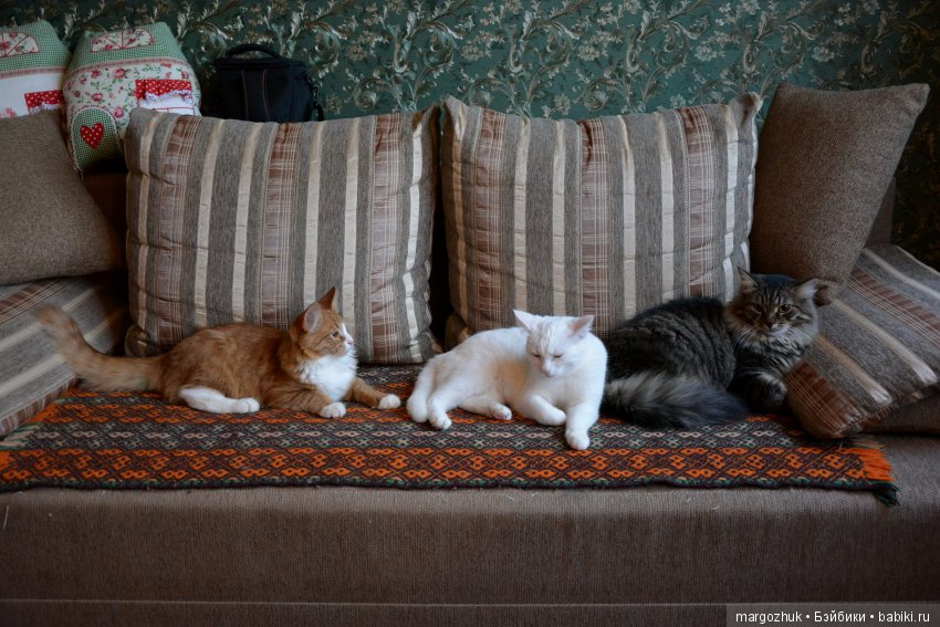 Новогодние каникулы в заветном шкафчике