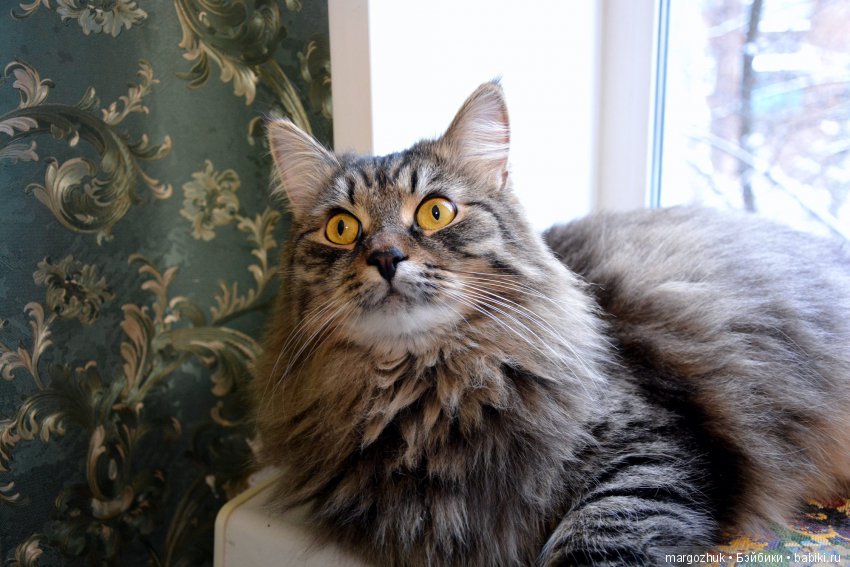 Новогодние каникулы в заветном шкафчике