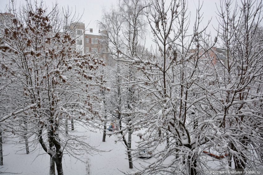 Новогодние каникулы в заветном шкафчике