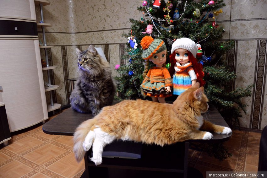 Новогодние каникулы в заветном шкафчике