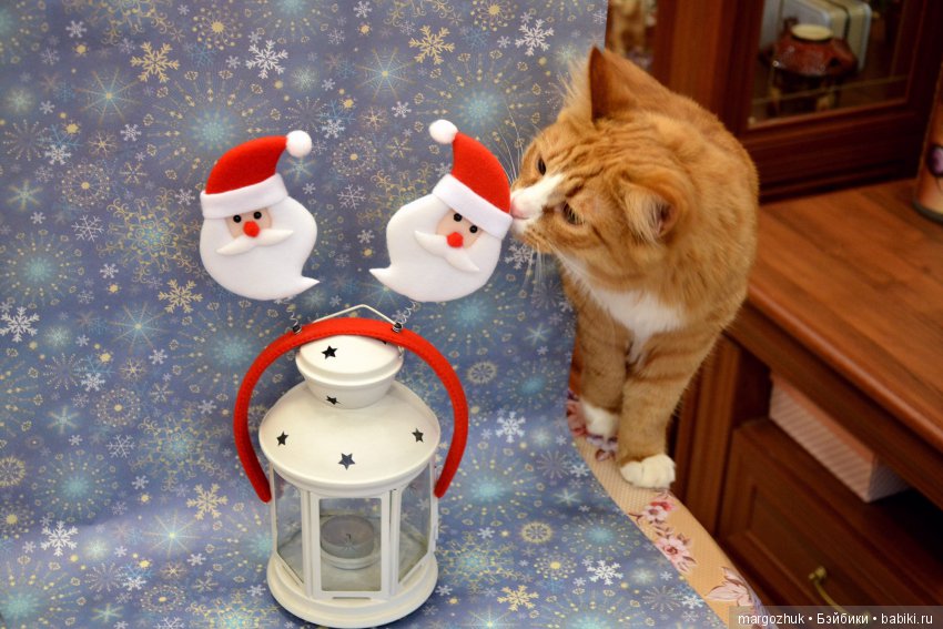 Новогодние каникулы в заветном шкафчике